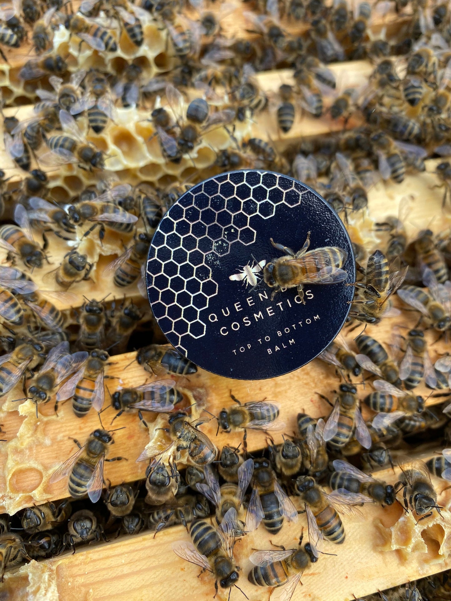 Honey Bee Gift Set, Natural Balms, Beeswax Candle and Wax Melts
