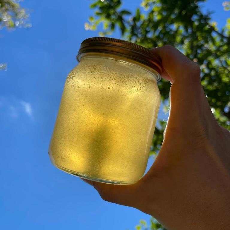 RAW Buckinghamshire Honey